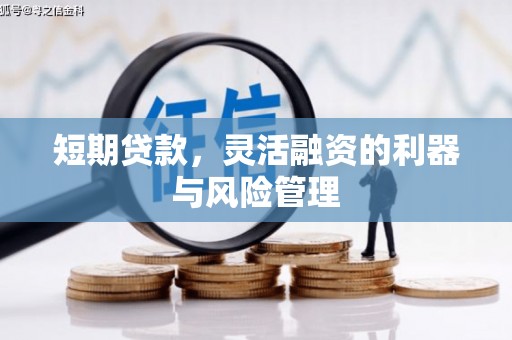 三穗短期贷款，灵活融资的利器与风险管理