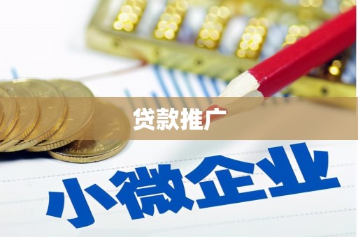 成县贷款推广