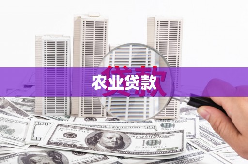 贡井农业贷款
