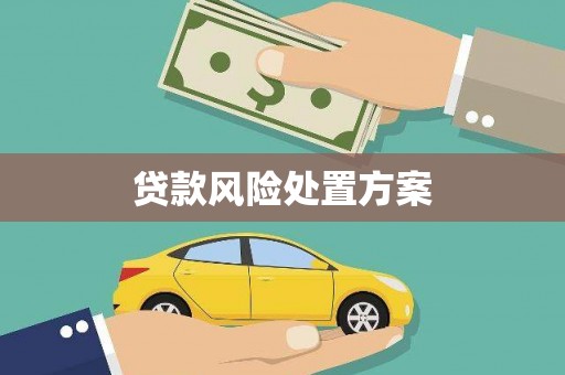 沙田贷款风险处置方案
