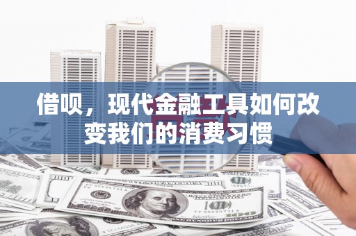 岑巩借呗，现代金融工具如何改变我们的消费习惯