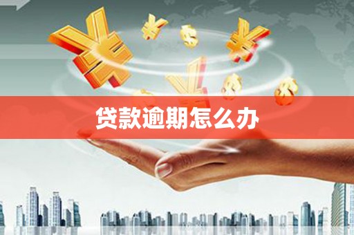 金峰贷款逾期怎么办
