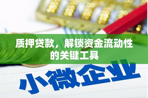 镇赉质押贷款，解锁资金流动性的关键工具