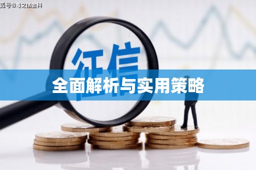 林甸全面解析与实用策略