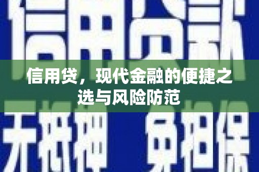 西沙信用贷，现代金融的便捷之选与风险防范