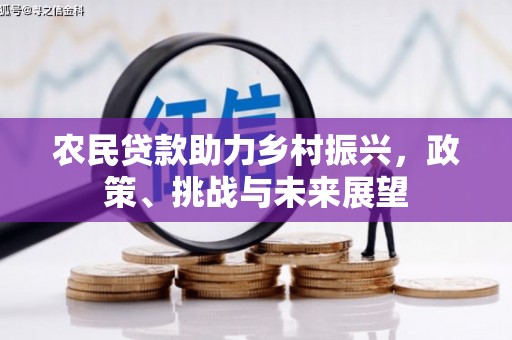 新洲农民贷款助力乡村振兴，政策、挑战与未来展望