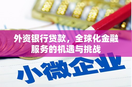 美姑外资银行贷款，全球化金融服务的机遇与挑战