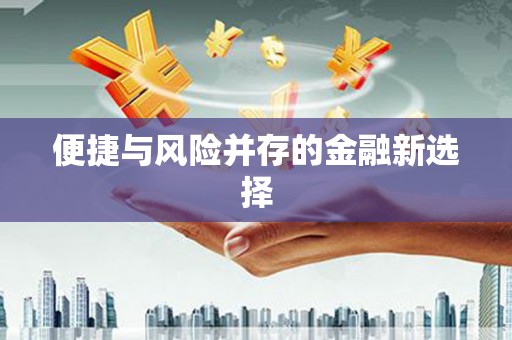 华龙便捷与风险并存的金融新选择