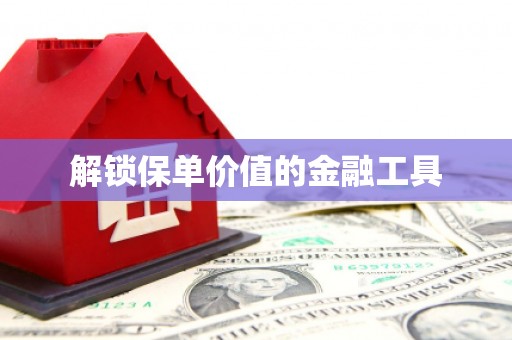 东至解锁保单价值的金融工具
