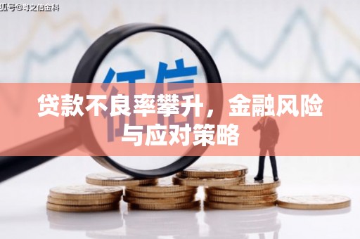 港闸贷款不良率攀升，金融风险与应对策略